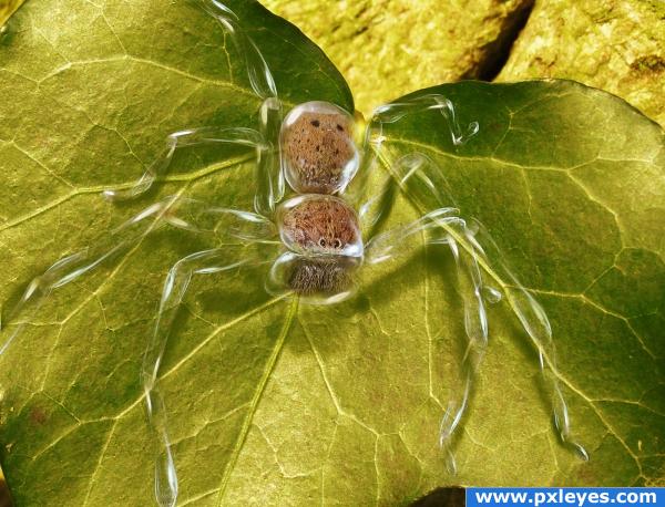 Glass Spider